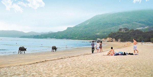 Cheung Sha, top 5 bãi biển đẹp nhất Hồng Kông