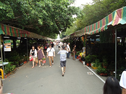 Hsinchu Flower Market - chợ hoa Tân Triều