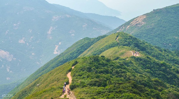Khám phá cung đường mòn leo núi Dragon's Back tuyệt đẹp tại Hồng Kông