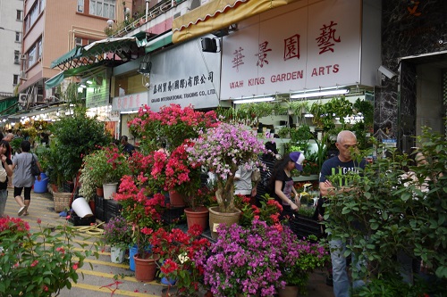 phố chợ hoa Hồng Kông